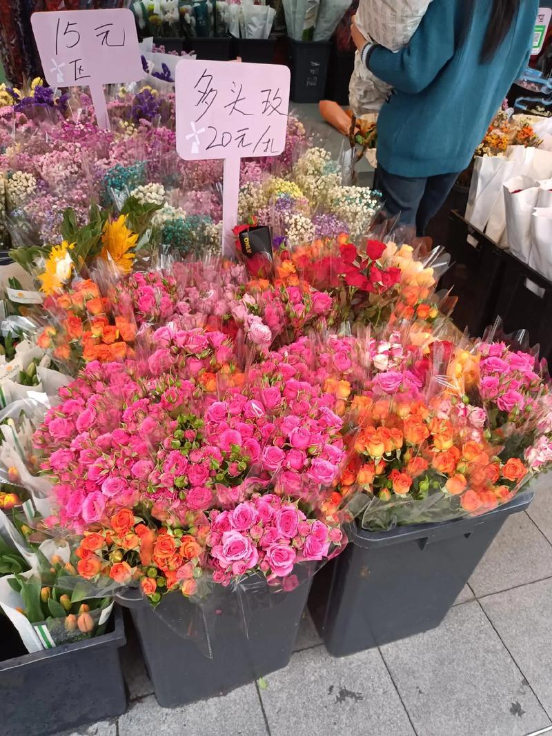 深圳荷兰花卉小镇 花的世界，花的海洋，群芳竞艳百花齐放